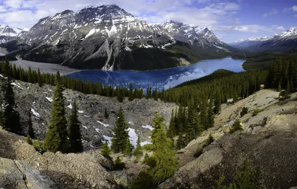 Картинка лес, деревья, горы, озеро, камни, скалы, Канада, панорама
