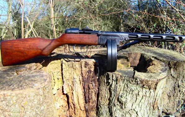 Картинка лес, советский, пистолет-пулемёт, Шпагина, ППШ-41