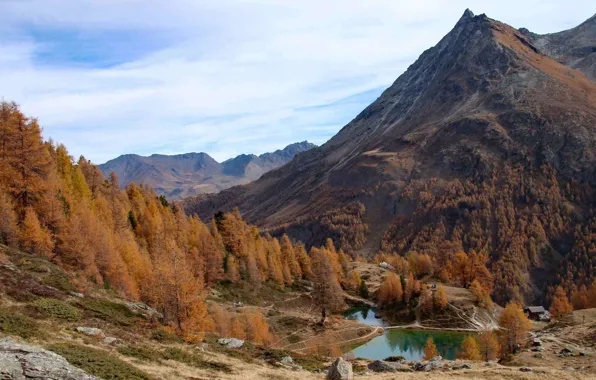 Осень, лес, горы, природа, озеро, Switzerland, Valais, Arolla