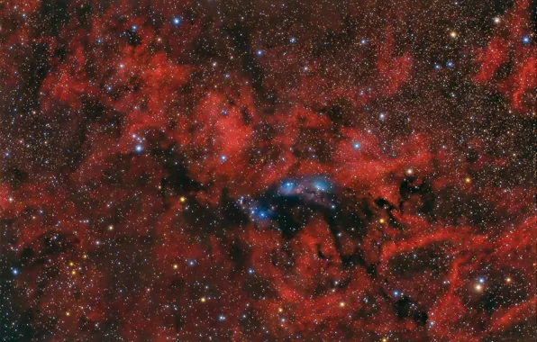 Туманность, Лебедь, NGC 6914, в созвездии, отражающая