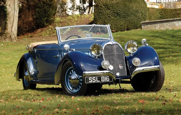 Трава, синий, ретро, передок, 1938, Cabriolet, красивая машина, T23