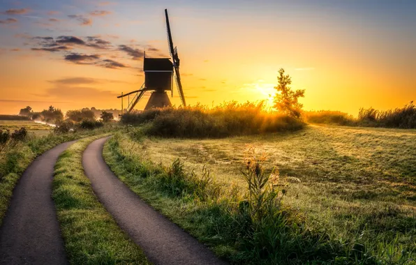 Forest, road, field, sunset, dusk, mill