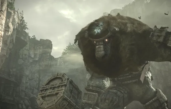 Game, fight, giant, colossus, Shadow of the Colossus, E3 2017, big kyojin