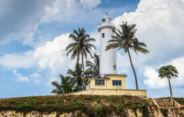 Небо, облака, пальмы, маяк, Шри-Ланка, Galle