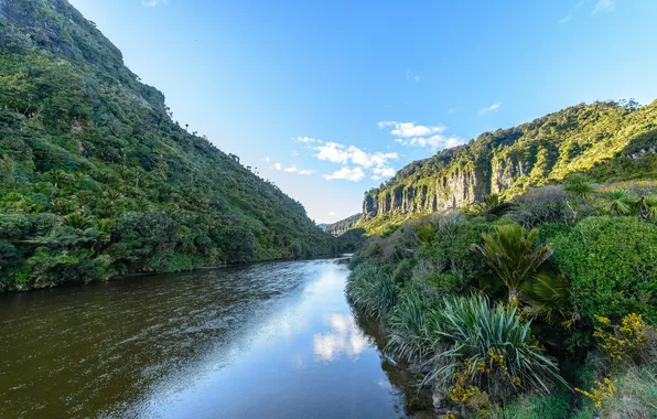 Картинка река, скалы, растительность, Новая Зеландия, Punakaiki, Пунакаики