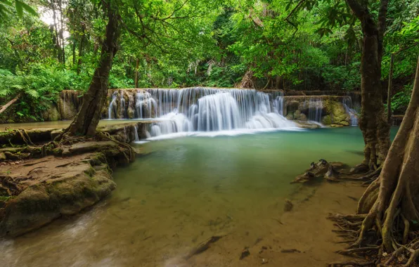 Картинка лес, пейзаж, река, скалы, водопад, summer, forest, тропический