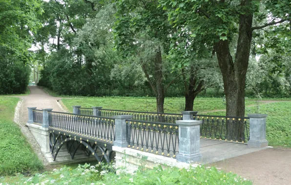 Лето, деревья, парк, дорожка, мостик, клёны
