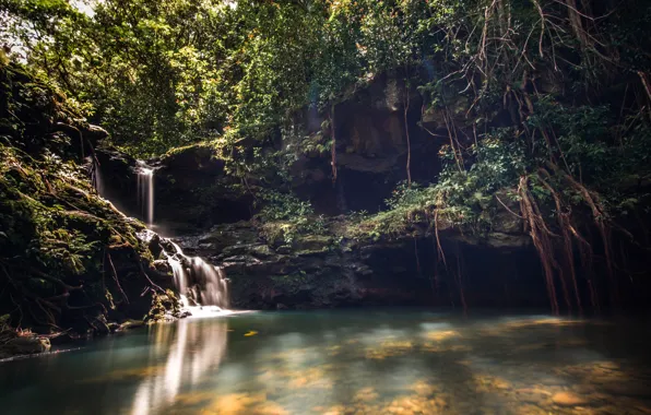 Лес, водопад, Гавайи, Hawaii, Oahu, Aiea Loop Falls, Kalauao Falls