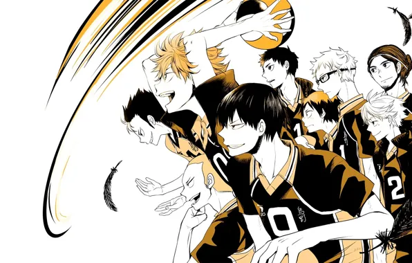 Мяч, команда, парни, волейбол, Haikyuu, Карасуно