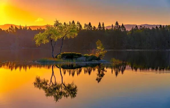 Озеро, отражение, дерево, Норвегия, островок