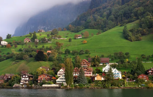 Картинка лес, город, озеро, фото, дома, Швейцария, Kehristen