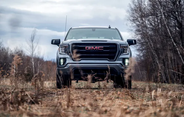 Картинка вид спереди, пикап, 2018, GMC, Sierra, Crew Cab, 2019, Elevation