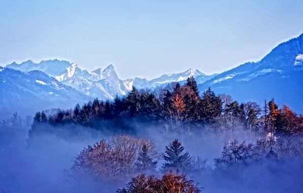 Картинка осень, лес, снег, деревья, горы, туман