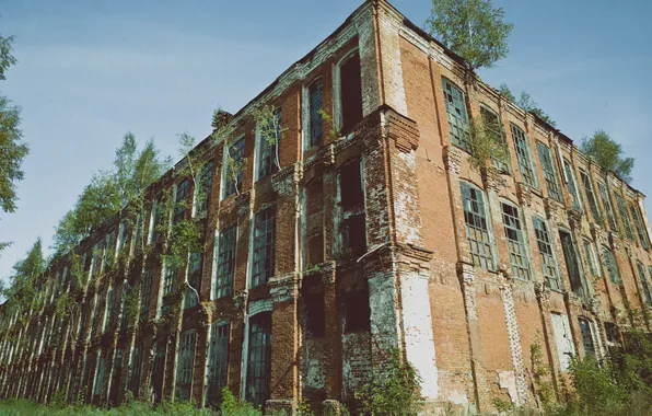 Картинка осень, небо, трава, облака, деревья, здания, Россия, архитектура