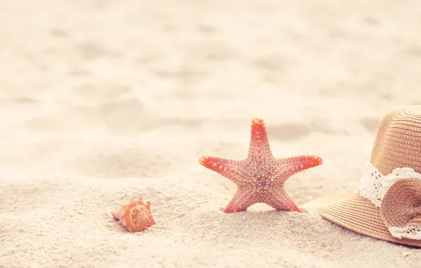 Песок, пляж, лето, звезда, шляпа, ракушки, summer, beach