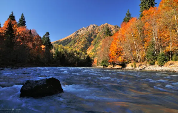 Картинка осень, лес, небо, листья, деревья, горы, река, камни