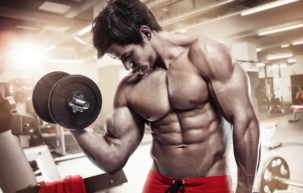 Muscle, мышцы, man, пресс, pose, гантели, gym, бодибилдер