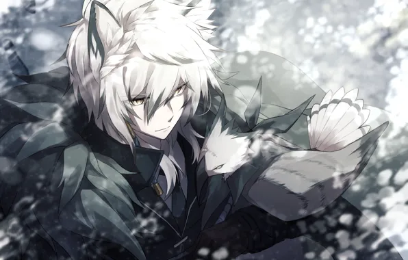 Птица, лис, парень, Arknights, SilverAsh, Tenzin
