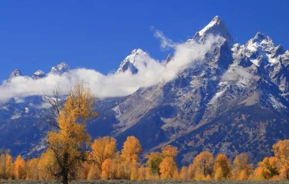 Осень, облака, деревья, горы, Вайоминг, США, Гранд-Титон, Grand Teton National Park