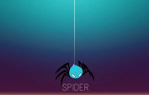 Насекомые, фон, обои, рабочий стол, паук, minimal, spider, заставка