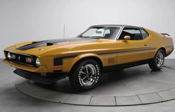 Картинка фон, Mustang, Ford, Форд, 1971, Мустанг, коричневый, передок