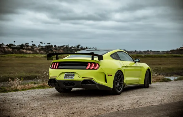 Картинка Mustang, Ford, вид сзади, tuning, 2019, Revenge GT