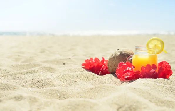 Песок, море, пляж, лето, цветы, кокос, сок, juice