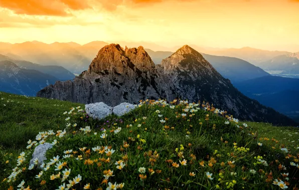 Картинка трава, пейзаж, цветы, горы, природа, Альпы, луга