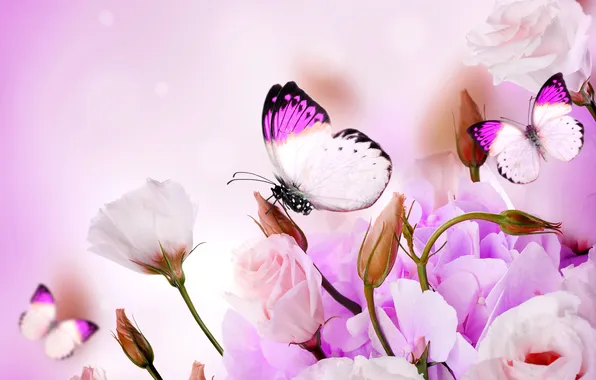 Картинка бабочки, цветы, flowers, purple, butterflies