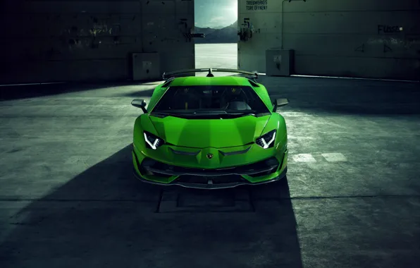 Lamborghini, суперкар, вид спереди, Aventador, Novitec, SVJ, 2019, Aventador SVJ