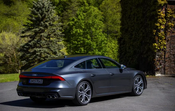 Картинка зелень, деревья, Audi, Audi A7, пятидверный, спортбэк, 2019, S7 Sportback