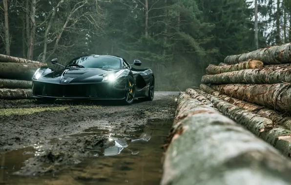 Dark, Ferrari, Front, Black, Supercar, Forest, LaFerrari