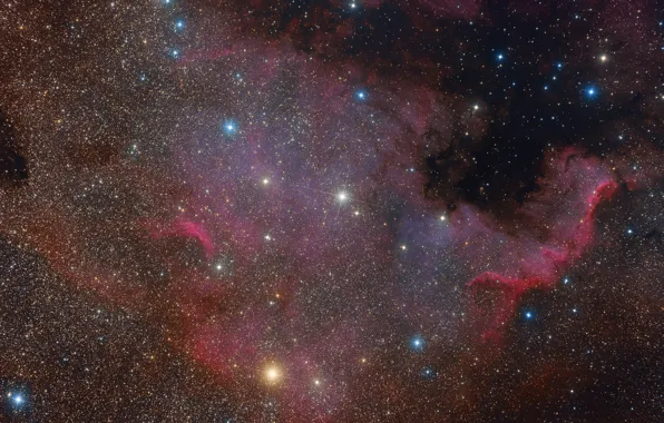 Туманность, Северная Америка, North America Nebula, в созвездии Лебедь