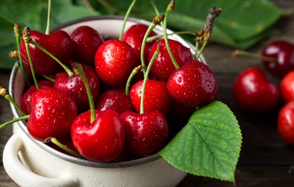 Вишня, ягоды, дерево, корзина, fresh, wood, basket, cherries