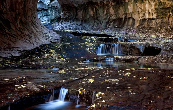 Листья, ручей, скалы, тоннель, Zion National Park, сша, юта