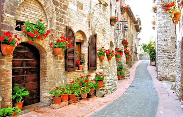 Картинка цветы, дома, Италия, красные, горшки, улочка, герань