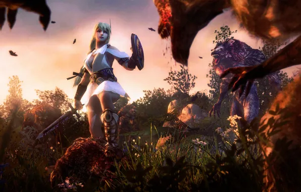 Меч, щит, Soul Calibur, Оборотень, art, Sophitia