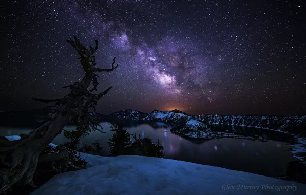 Звезды, ночь, дерево, Орегон, США, млечный путь, штат, Национальный парк Озеро Крейтер