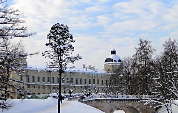 Зима, winter, Гатчина, Gatchina