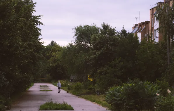 Дорога, лето, девушка, деревья, город, дом, здание, собака