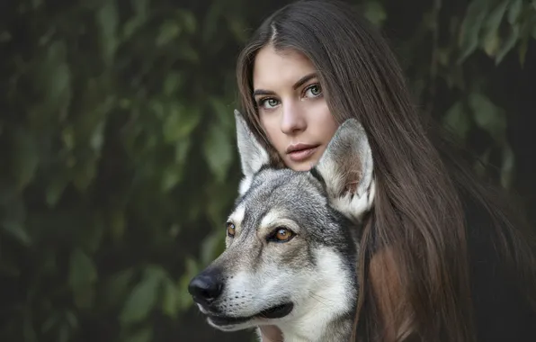 Листья, девушка, поза, волк, портрет, собака, фэнтези, шатенка
