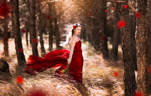 Картинка лес, девушка, ветер, розы, платье, в красном, Little, Red Riding Hood