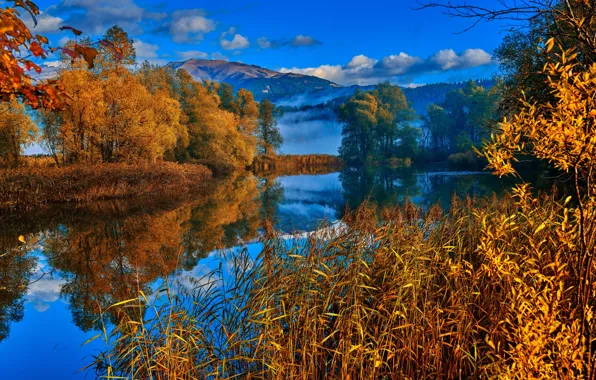 Осень, деревья, горы, отражение, река, Австрия, Альпы, камыш
