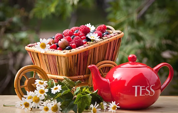 Ягоды, чай, ромашки, чайник, бренд, Tess