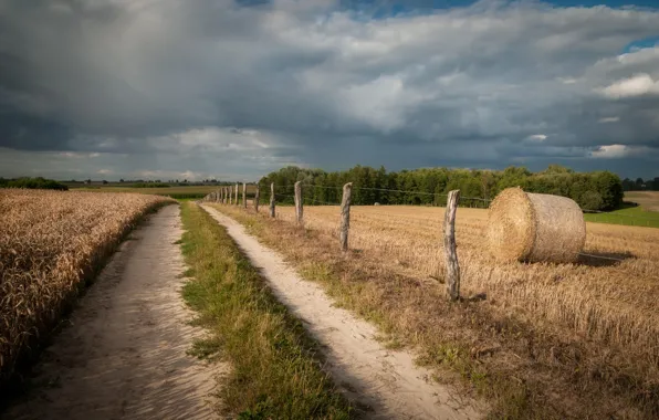 Дорога, поле, сено, кипа, кипы