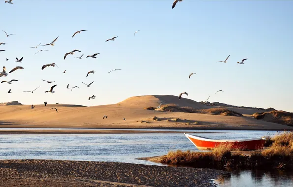 Картинка песок, вода, птицы, река, лодка, дюны, мель