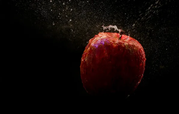 Картинка apple, photography, time, lapse