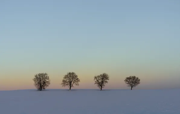 Картинка зима, поле, снег, деревья, пейзаж