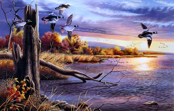 Картинка осень, вода, птицы, озеро, рисунок, утки, живопись, Mark S. Bray