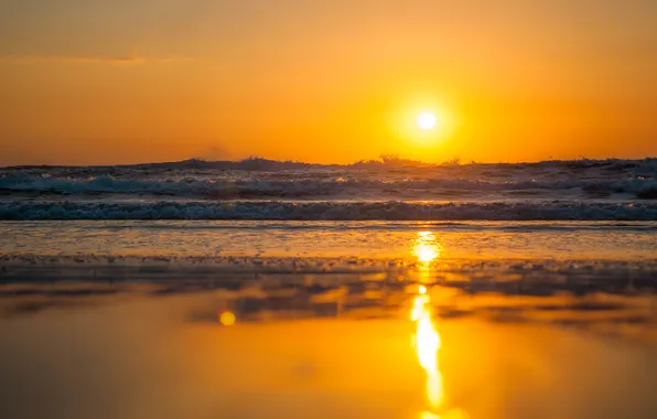 Waves, summer, beach, sunset, reflection, sunny